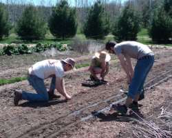 They warmly welcome volunteers for gardening, staf They warmly welcome volunteers for gardening, staff support, administration, fundraising, and other events. More than 100 volunteers work in the garde